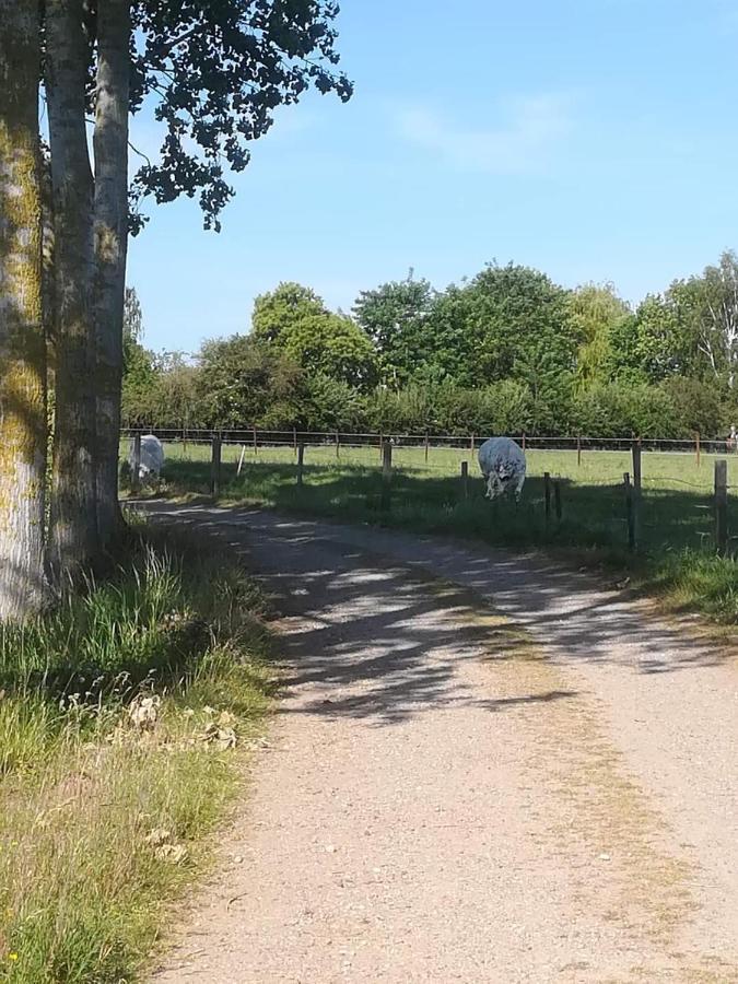 Vakantiewoning Upstairzzz Kortessem Eksteriør billede