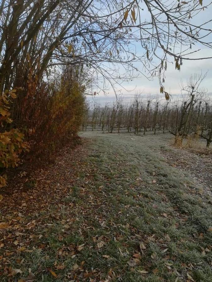 Vakantiewoning Upstairzzz Kortessem Eksteriør billede